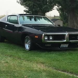 Meet your Posher, Jesse